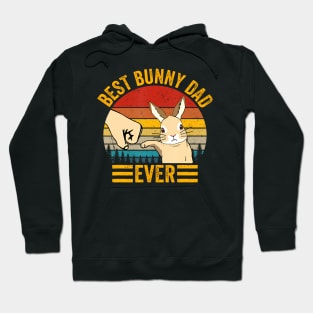 Best Bunny Dad Ever Rabbit Lover Father Pet Rabbit Hoodie